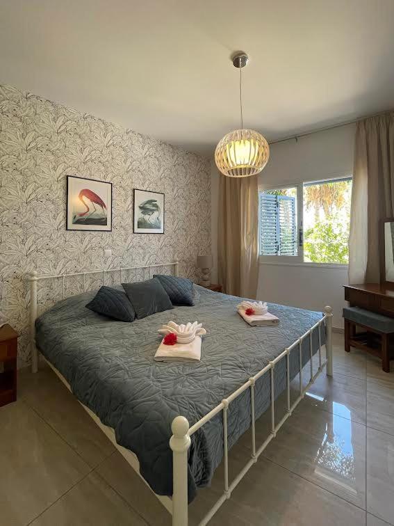 Timeless Cyprus Apartamento Pafos Exterior foto